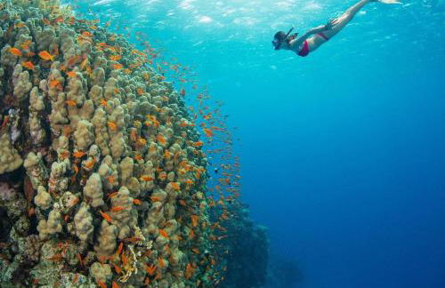 Whaler 712 - Photo 47