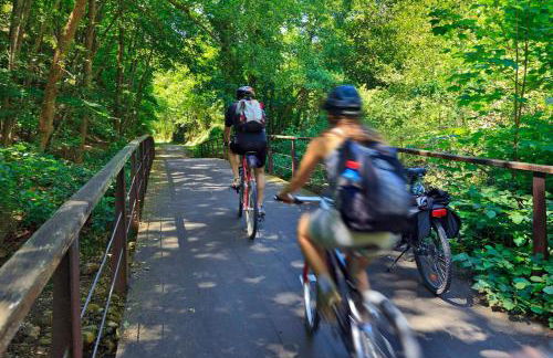 Casas rurales Valle de Bueida, jacuzzi solo en las casas el El Palacio y Viscárcel - Foto 109