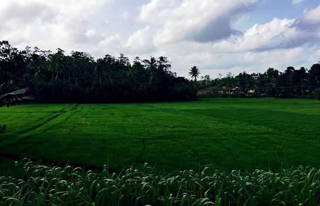 Thaaru Guest - Foto 27