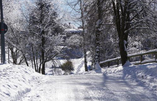Wanderlust - Thüringer Wald, Rennsteig, Finsterbergen - Photo 20
