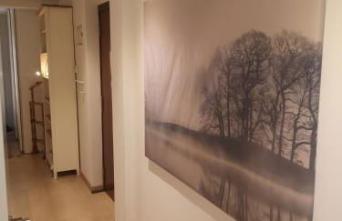 Vive Vitoria! en la Almendra Medieval Zapa - Photo 11