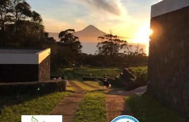 Make It Happen Farm - Foto 16