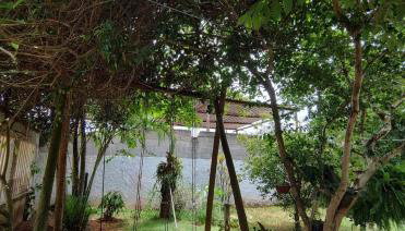 Casinha de Setiba - Foto 2