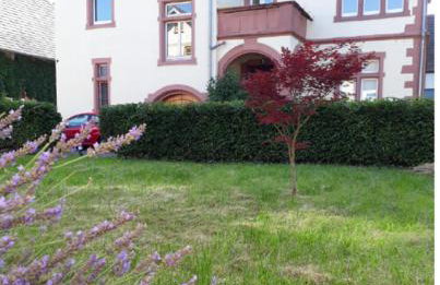 living TIMELESS- Europa Park- Kippenheim - Foto 59