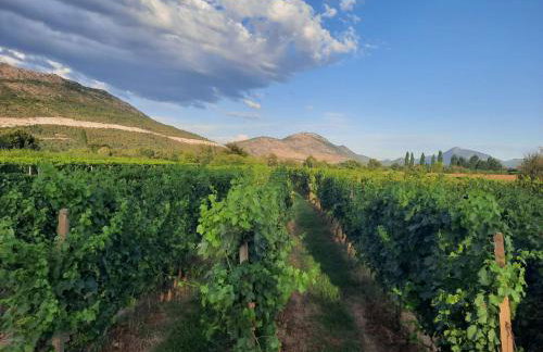 Holiday Home Villa Kikiza by Interhome - Foto 32