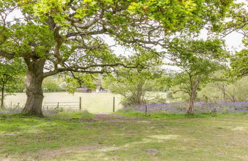 Pheasant Lodge - Photo 29