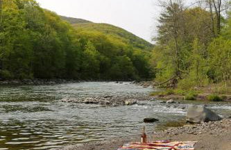 Perch Eagle House - Creek Access, Sauna, Mt views - Foto 18