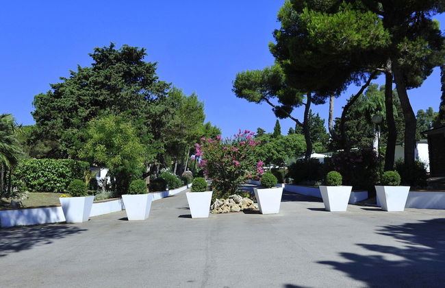 New Apartment in Baia Domzia Near the sea - Photo 23