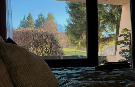 Luna & Stella Apartments, Sankt Englmar - Foto 32