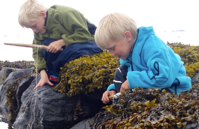 9 Person Holiday Home in Fjortoft - Foto 27