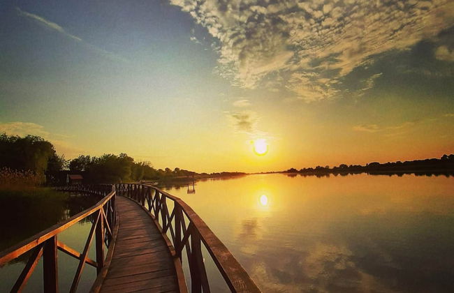 Mikin dol Baranja Country House - Foto 48