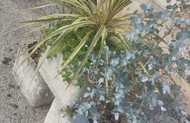 Maison village appartement RDC avec terrasse - Foto 18