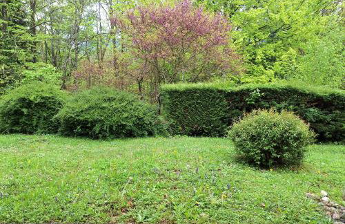 Le Nid des Frênes - Studio au Cœur de la Nature - Foto 34