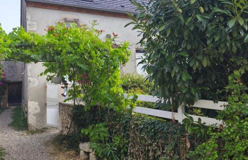 Ferme bourbonnaise rénovée avec jardin, animaux admis - FR-1-489-295 - Foto 10
