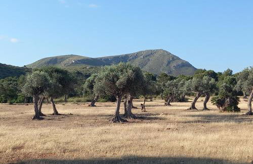 El nido de Betlem - Foto 31