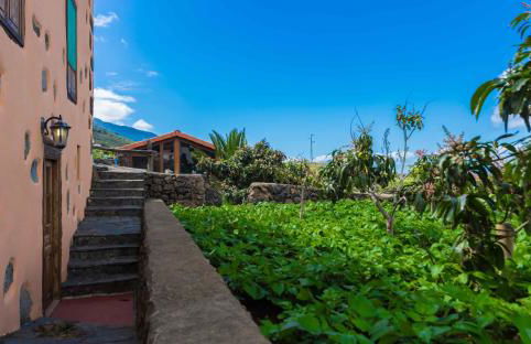 Casa de Mi Abuela Maria - Foto 21