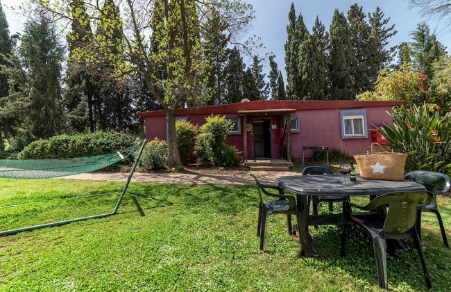 Mizra Guest House - Foto 25