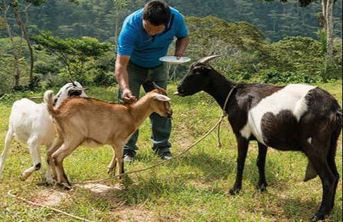 Rainforest Farm Organic Coffee Tour - Photo 2