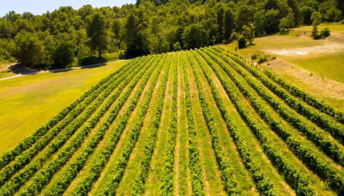 Le Mas Sérénité - Foto 5