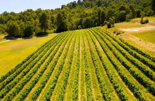 Le Mas Sérénité - Foto 5