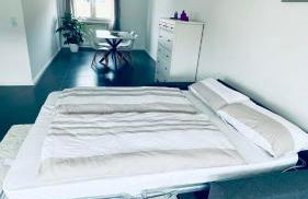 Elegante Apartment in Erftstadt mit Balkon, Zentral, Bahnhof nah, Phantasialand Brühl bei Cologne - Foto 21