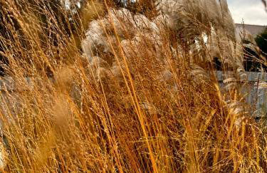 Villa Botanica - Foto 40