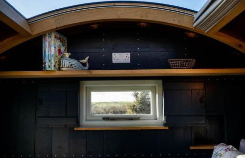 Astronomer Shepherd's hut - Foto 15