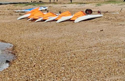 luxury new 3 bed caravan with stunning sea view on private beach in Thorness bay - Foto 31