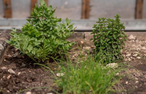 Wohlfühloase Brombachsee - Foto 36