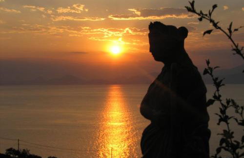 Hydra Erato - Foto 32