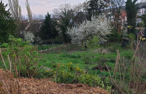 La maison de Paul - Foto 38