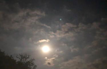 L'Olivier Fleurie Barjols - Foto 49