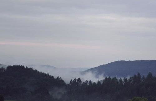 Domki w Bieszczadach Nowa Zelandia - Photo 27