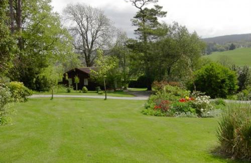 Pine Tree Lodge - Foto 1