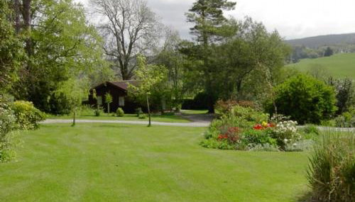 Pine Tree Lodge - Foto 1