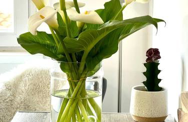 Sunny Apartment - Photo 9