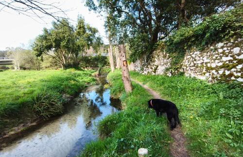Apartamentos MinusKa con jardin y a tan solo 10 min andando a Llanes - Foto 78