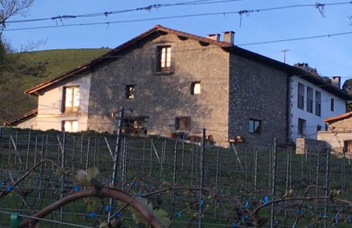 Agroturismo Erlete Goikoa -ESTAMOS EN EL CAMINO DE SANTIAGO -WE ARE ON THE CAMINO DE SANTIAGO- SENDERISMO-RUTAS Y BICICLETA - Photo 63