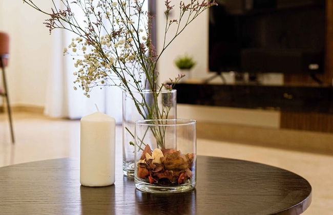 BIRD NEST Near AUC - Foto 54