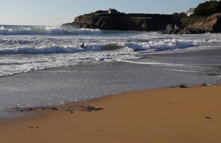 Gîte Ty Laouen Clohars-Carnoët - Foto 15