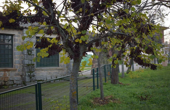 CASA RURAL LAS NAVILLAS - Foto 13