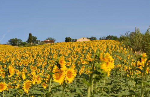 casale dei cinque colli APPARTAMENTO - Foto 19