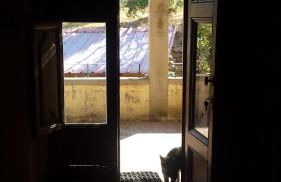 Il Pezzatino - Foto 66