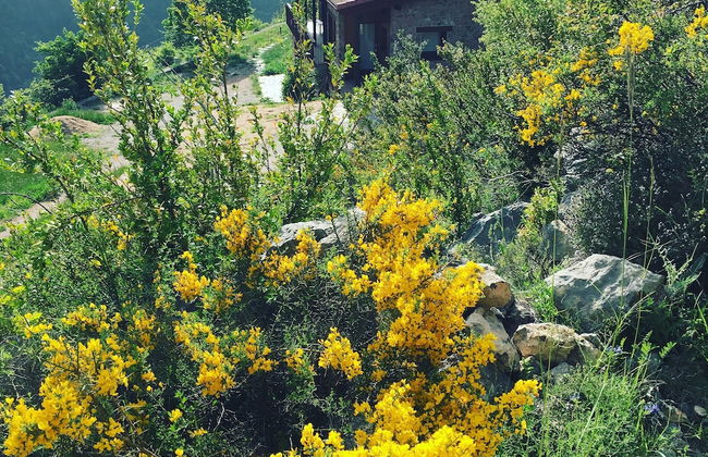 Cal Baridà - Foto 59