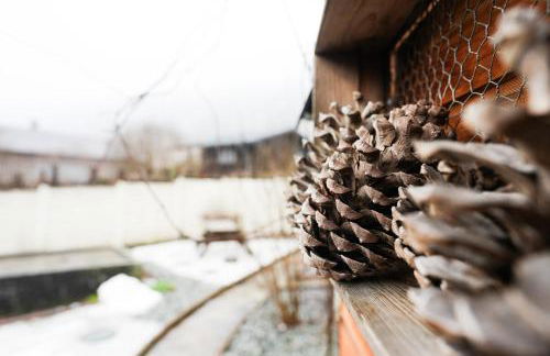 Résidence Les Bergamottes - Photo 47