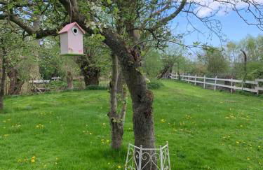 Historisches Bauernhaus für 8 Personen mit Luxus und Natur auf 2 Etagen ideal für Familien und Hunde 2500m2 eingezäunt an der Ostsee - Foto 44