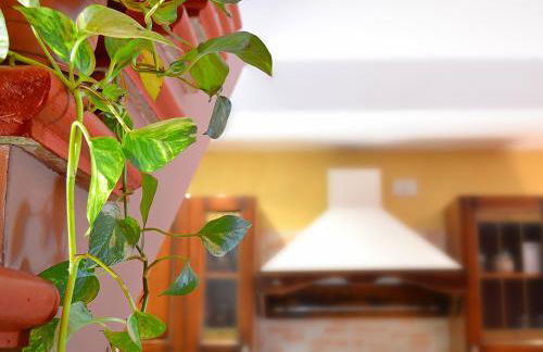 Casa Vacanze La Graziella - LA DÉPENDANCE - Photo 11