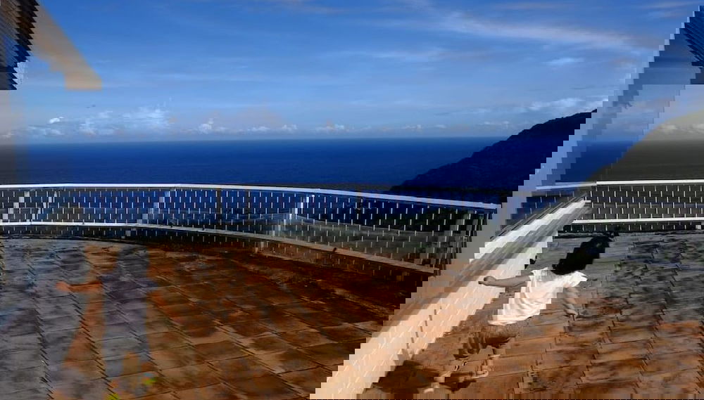 Happy coral - Photo 1, Primary image