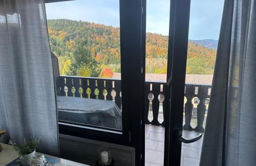 L&L Ferienwohnung - Foto 1