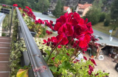 Luxuriöse FeWohnung Felsenblick - Foto 20